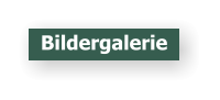 Bildergalerie